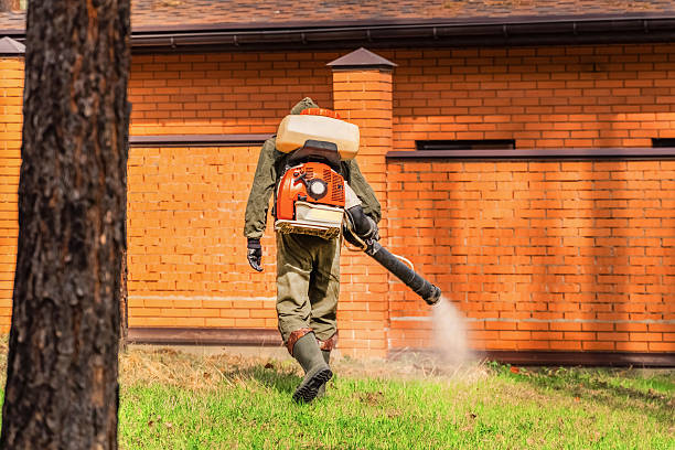 Trusted Mosquito Control service in Summerdale, AL - Nex Pest Control
